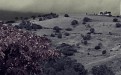 2020309739-1.jpg